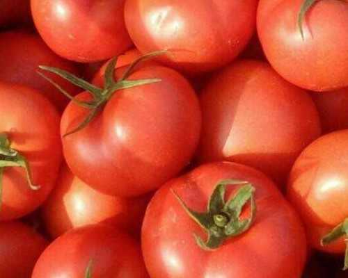 北京代怀网哪个好,北京家园试管婴儿多少钱，具体72119元