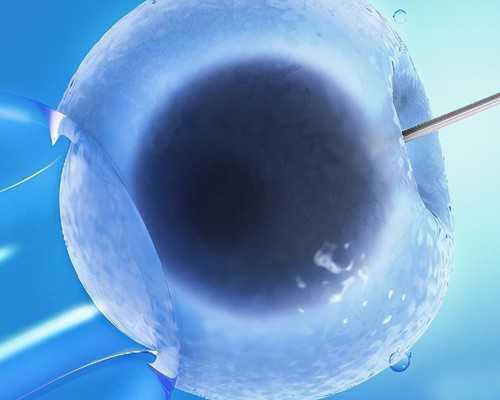 三代试管介绍_捐卵试管,供卵试管几个卵泡,试管婴儿几个卵泡合适